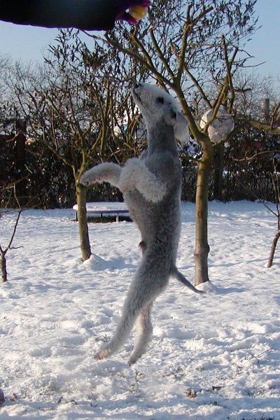 2009-12-19 Quincy (3).JPG